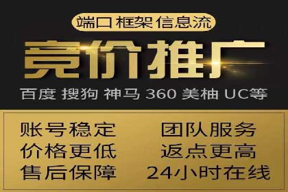 行业精英的SEM竞价经验与案例分享